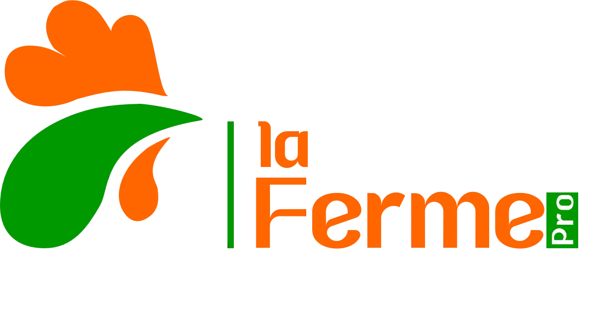 Logo du site web